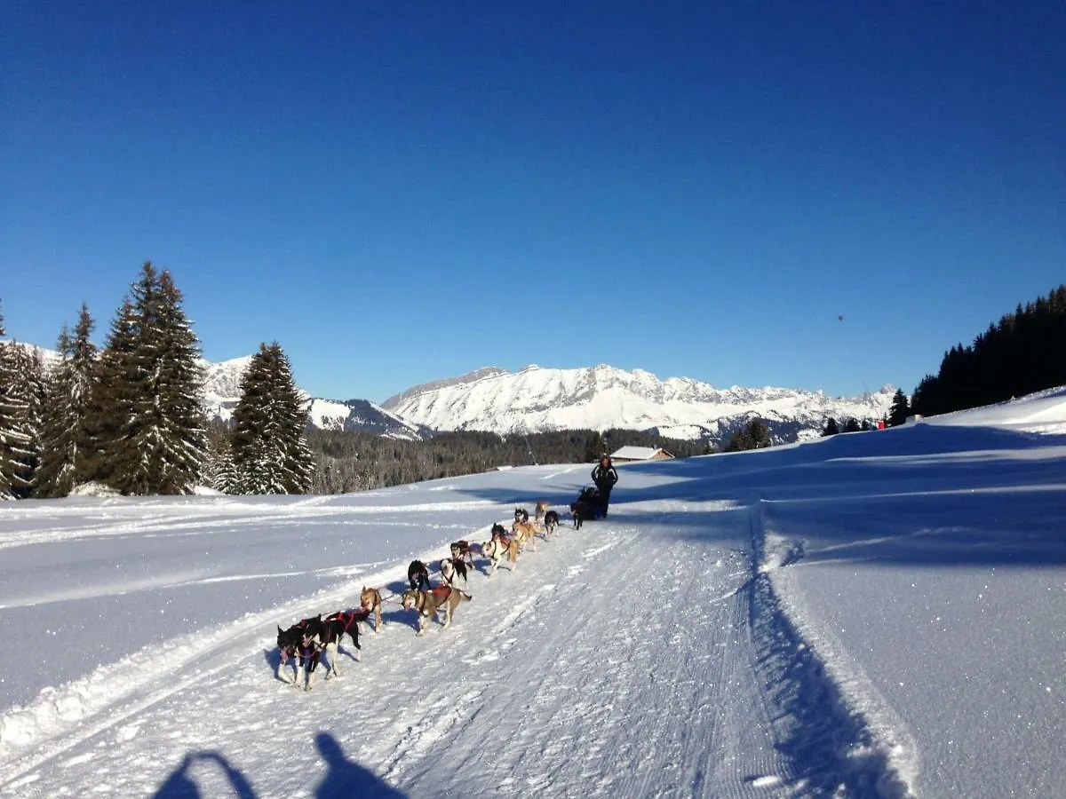 Chalet 13 Personnes-Le Vanvolet Les Saisies Holiday home
