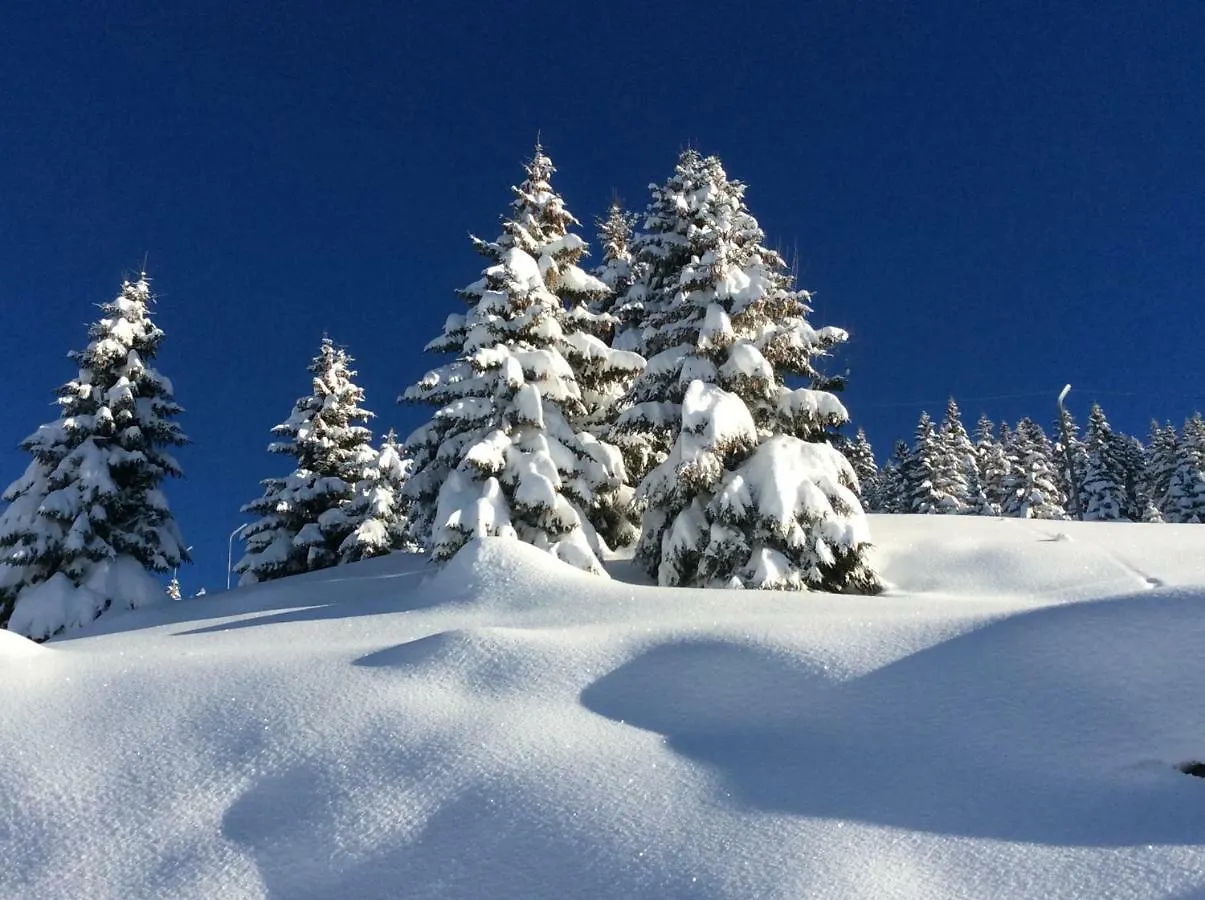 Chalet 13 Personnes-Le Vanvolet Les Saisies 0*,